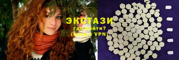 гашик Ветлуга